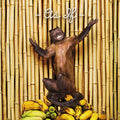 !!! - AS IF (2LP VINYL)
