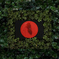 MOSES SUMNEY - LIVE FROM BLACKALACHIA (CLEAR GREEN) (VINYL)