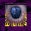 THE TEAR GARDEN - TIRED EYES SLOWLY BURNING (VINYL)