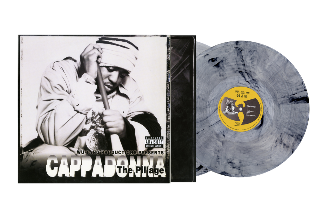 The Pillage : 25th Anniversary (Colored 2xLP w/OBI)