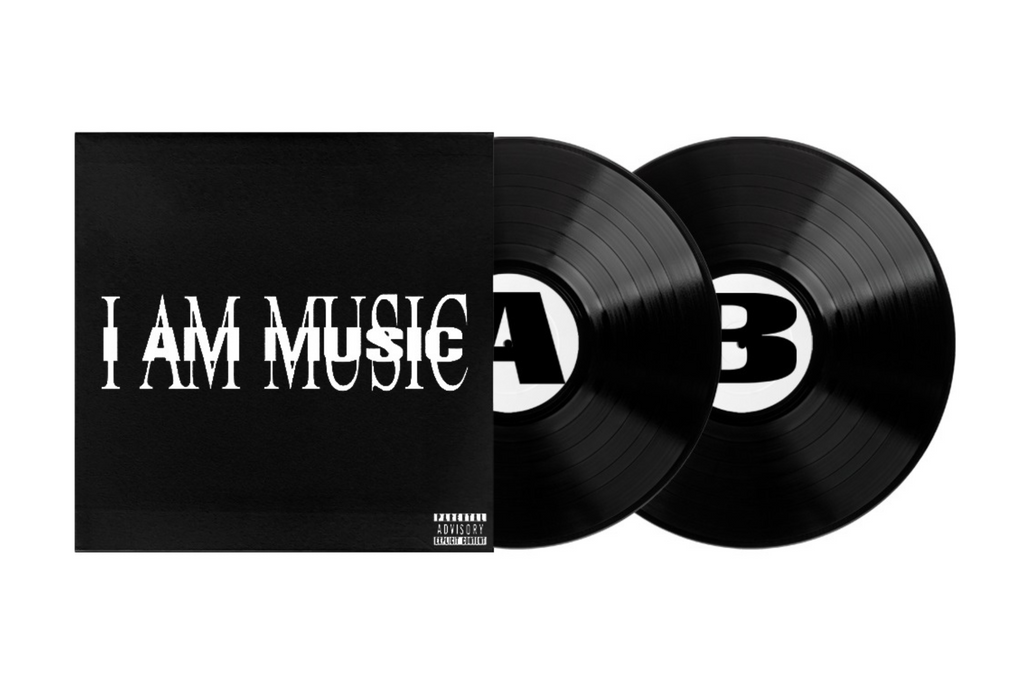 MUSIC (2xLP)