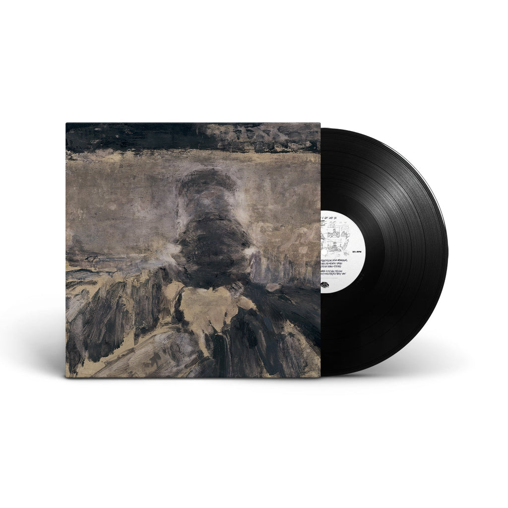 A Place I Got Lost In (LP)