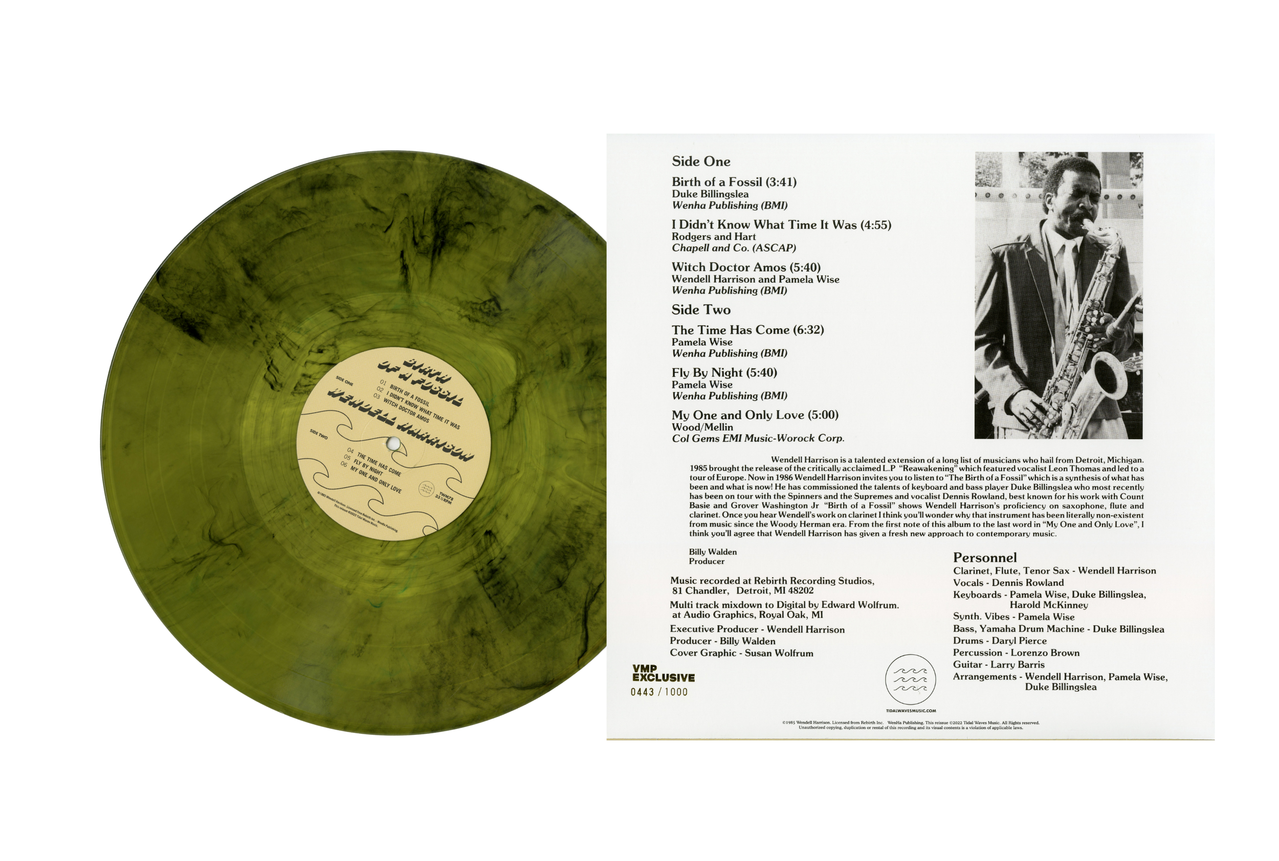 Birth Of A Fossil (Colored LP)