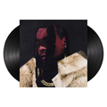 everything is a lot (2xLP)