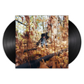 GOLLIWOG (2xLP)