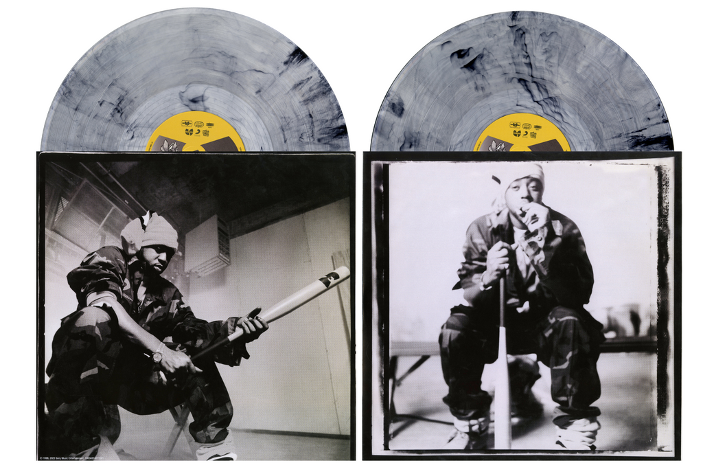The Pillage : 25th Anniversary (Colored 2xLP w/OBI)
