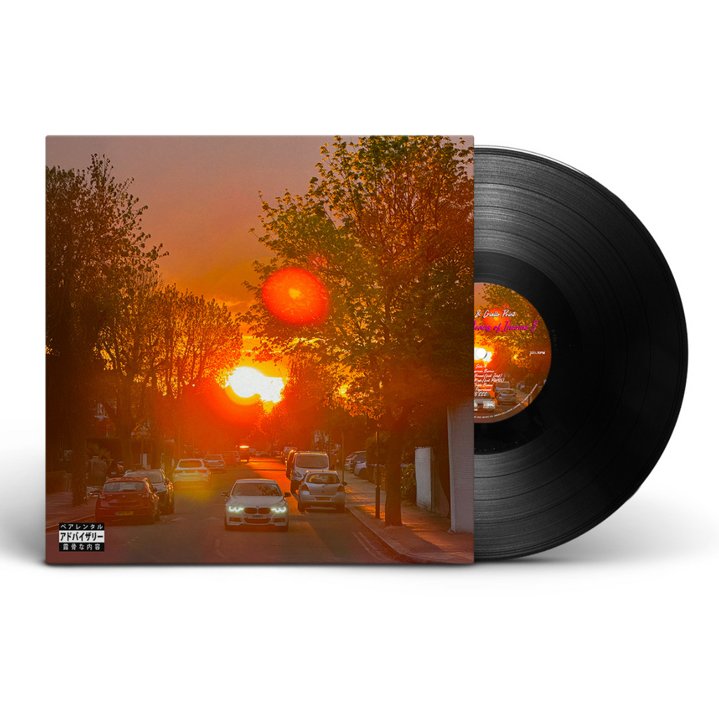 No Vi$ible Means of Income 3 (LP)